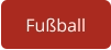 Fußball